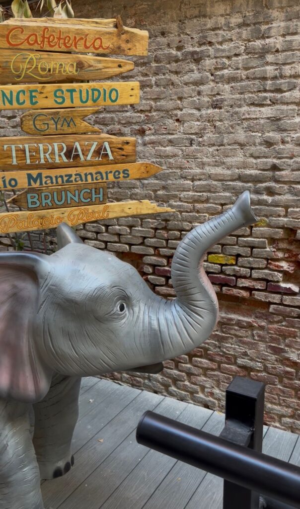 whatsapp image 2025 10 17 at 12.07.53 (1)