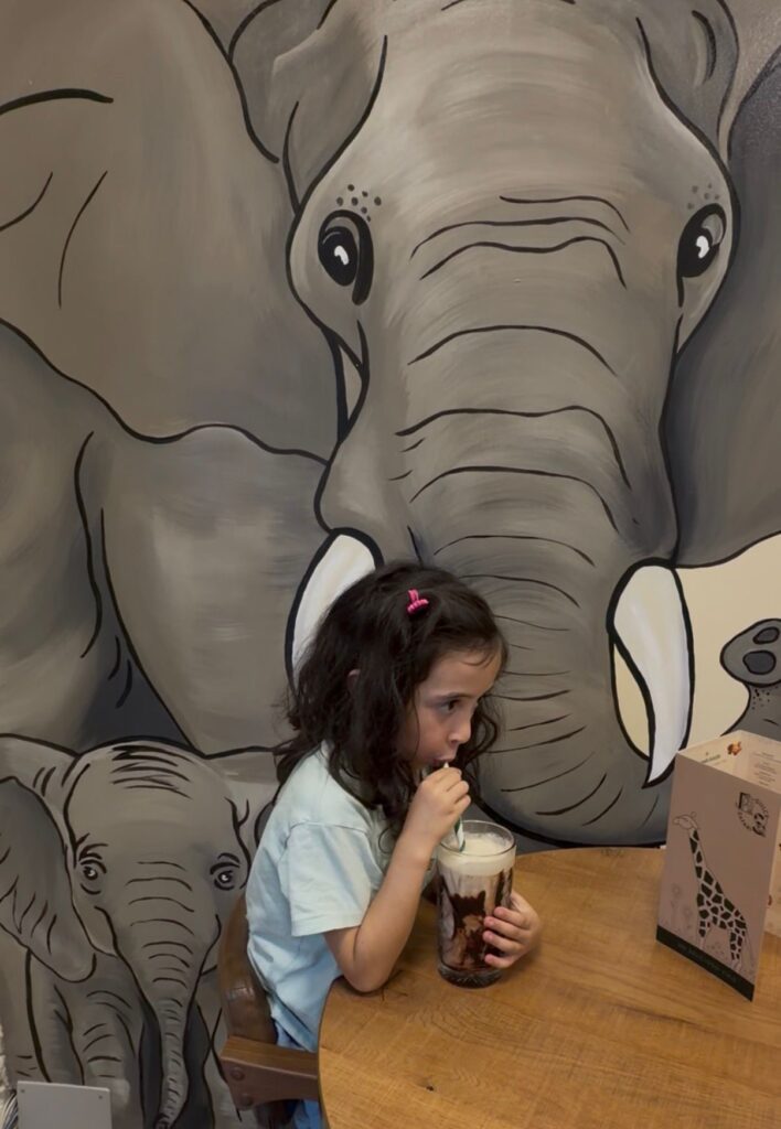 whatsapp image 2025 10 17 at 12.07.53 (2)