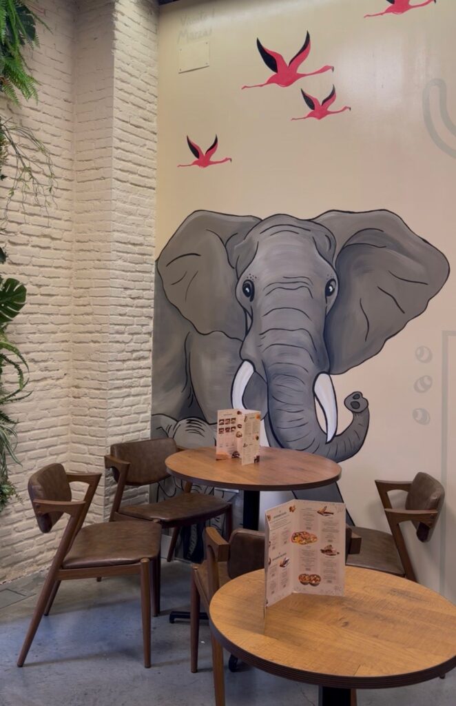 whatsapp image 2025 10 17 at 12.07.53